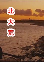 一区二区三区四区免费视频