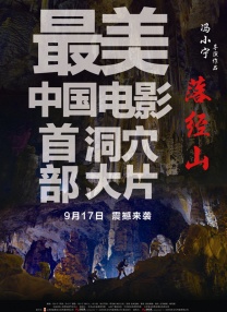 抖音最新版