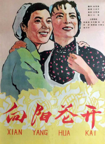红果在线