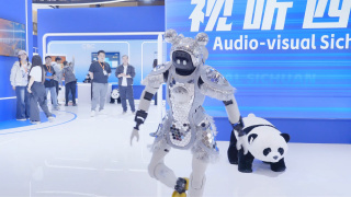 我朋友的两个母亲